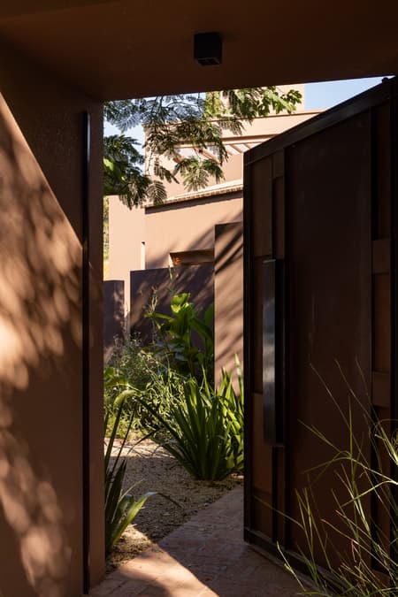 House around the Tree